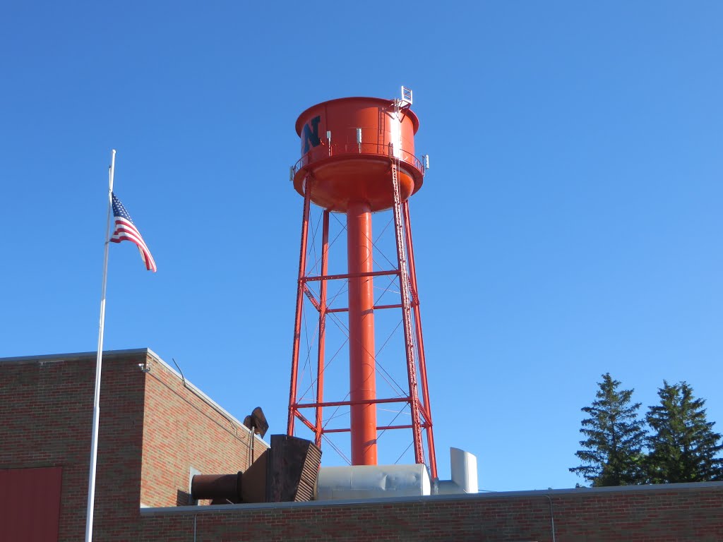 Newberrys N on the water tower