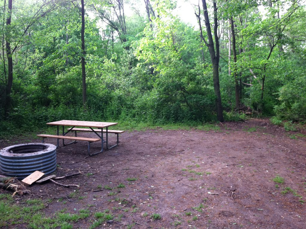 Fort Custer Recreation Area Camping site