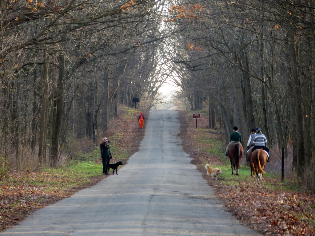August Climax Road (dead end) in Fort Custer State Recreation Area