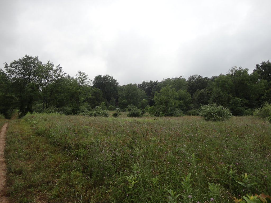 Fort Custer State Park