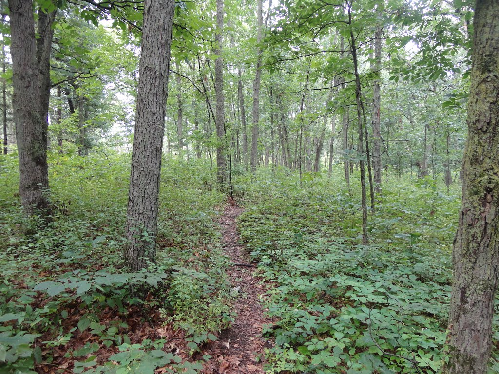 Fort Custer State Park