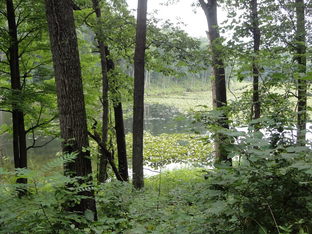 Fort Custer State Park