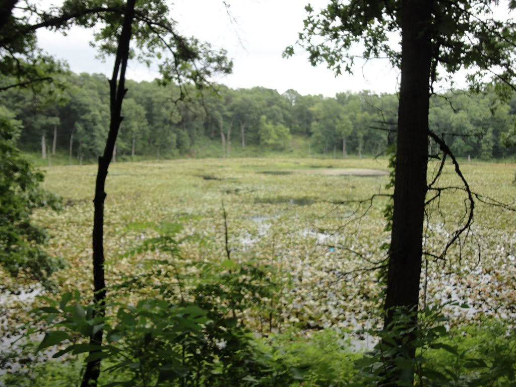 Fort Custer State Park