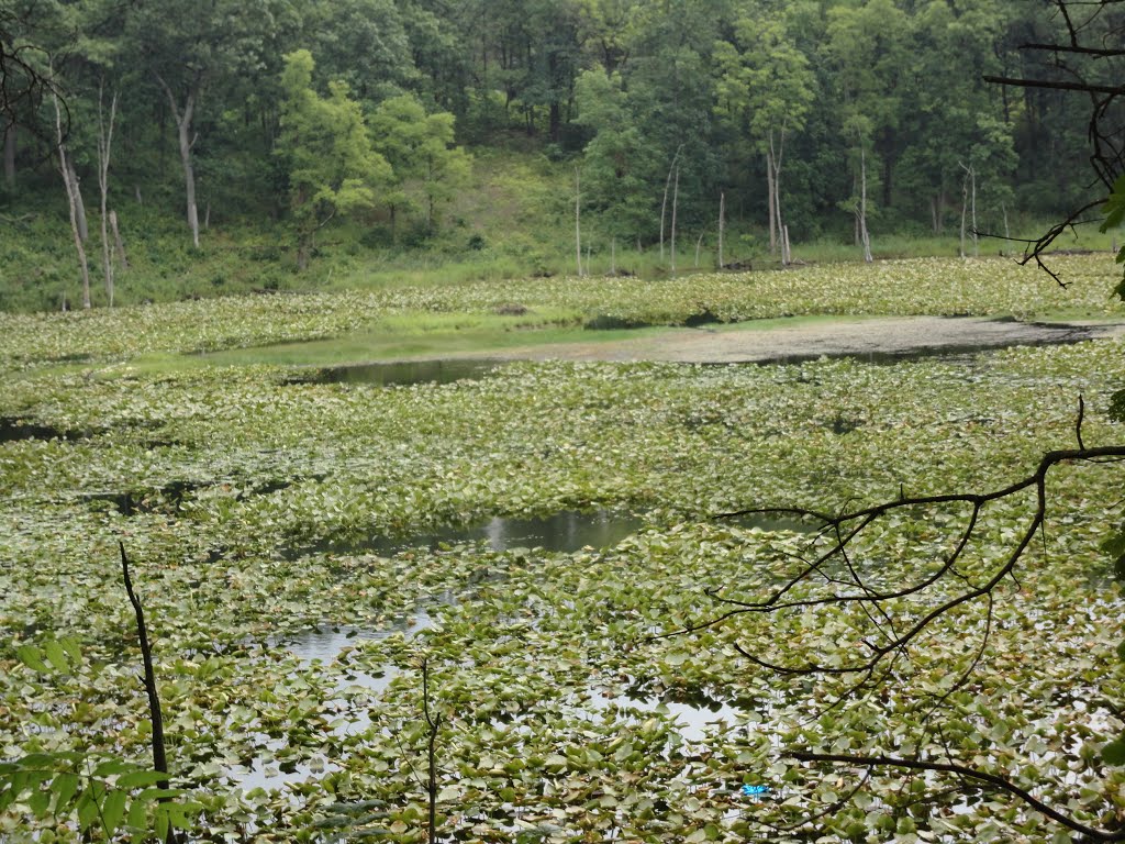 Fort Custer State Park