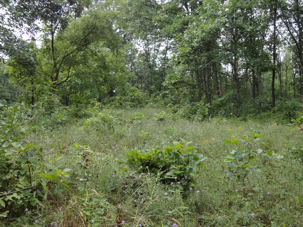 Fort Custer State Park