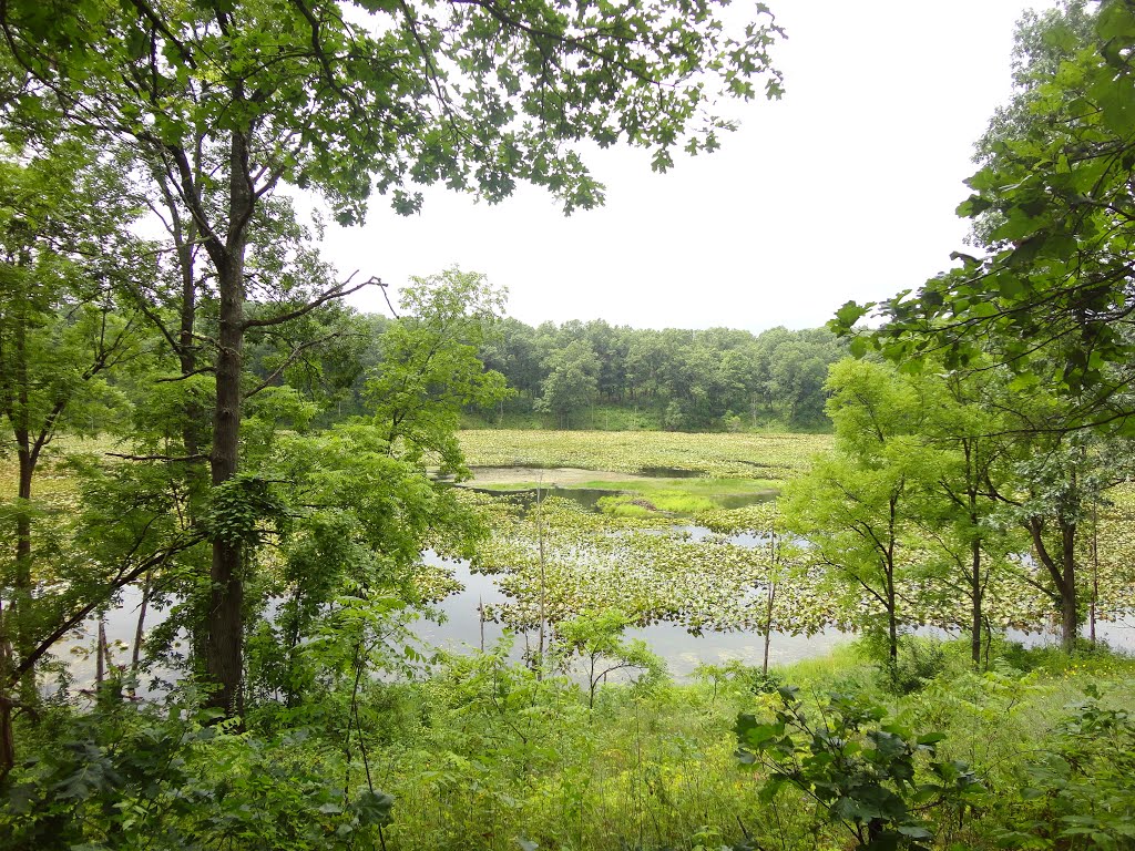 Fort Custer State Park