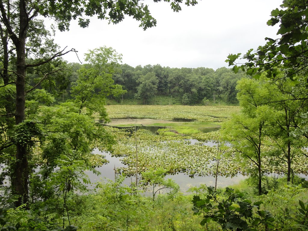 Fort Custer State Park