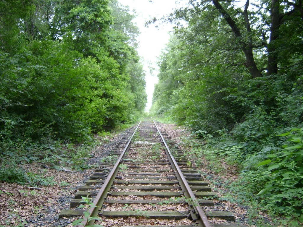 CK&S Looking South in Parchment towards the former KVP Mill site in Parchment, MI