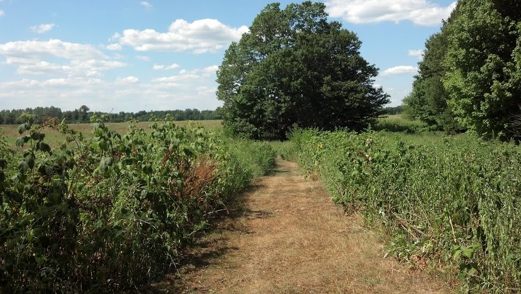 Prairie entrance