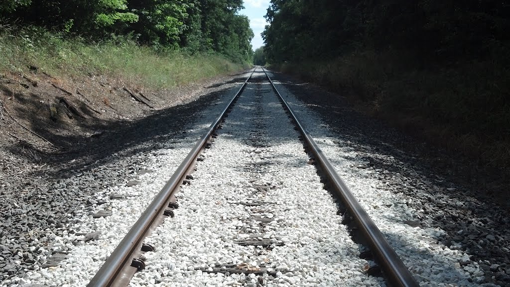 Train Tracks