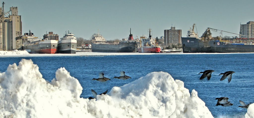 Sarnia Harbor Basin