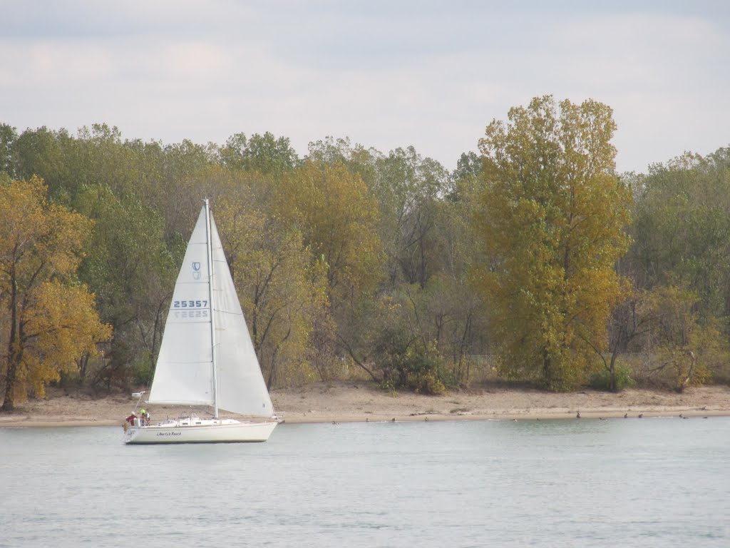 Autumn leaves on Canadian side