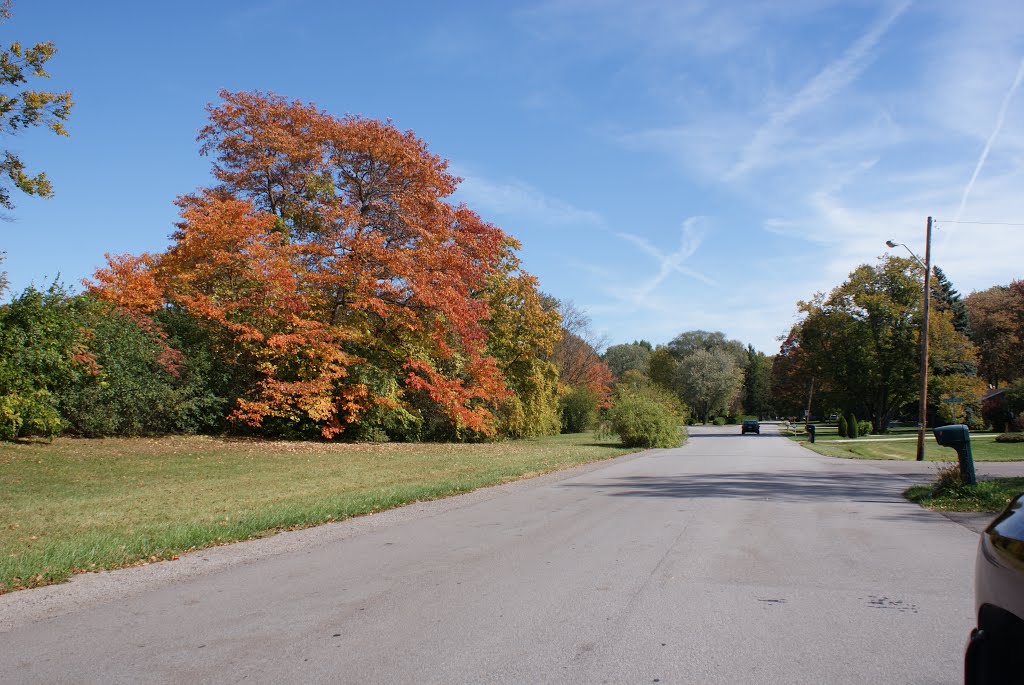 some bright spots of color