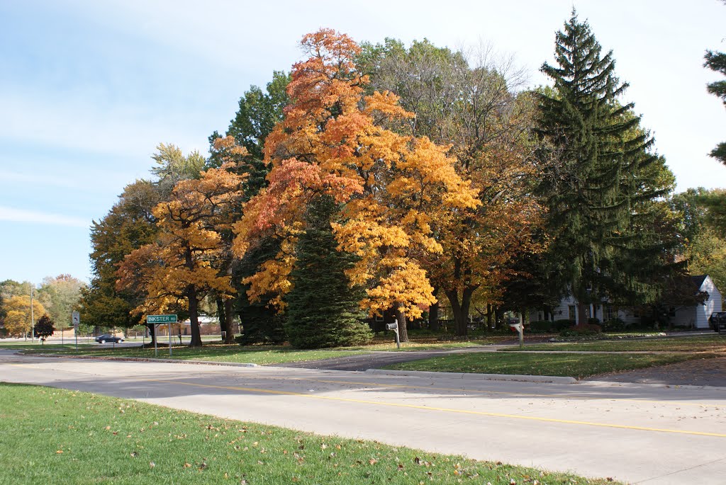 corner of inkster