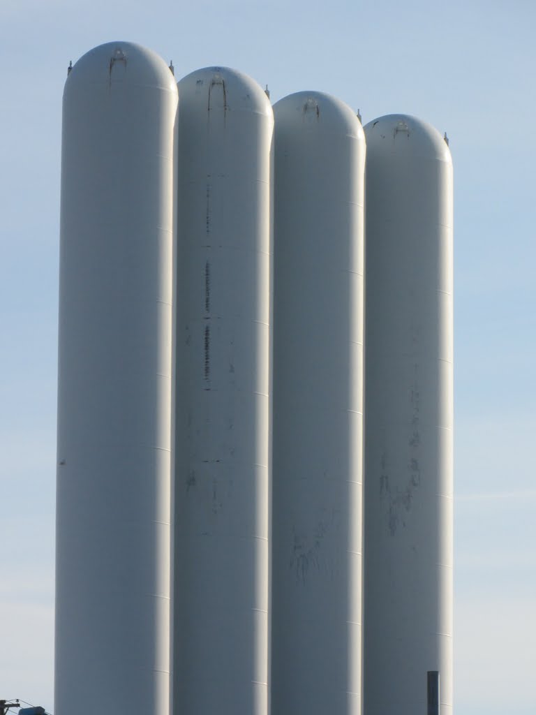 Four big milk popsicles