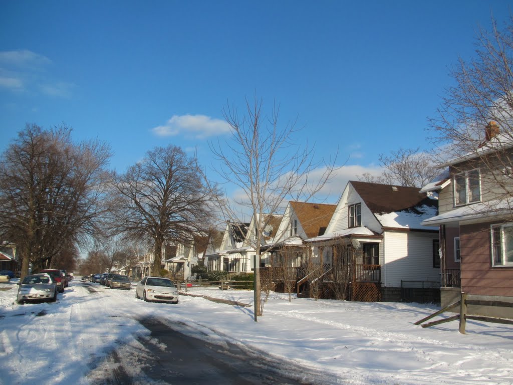 River Rouge in winter