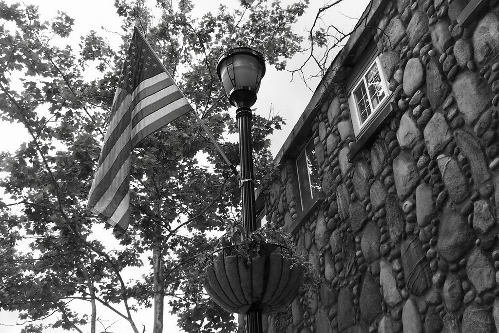 Patriotic Lamp