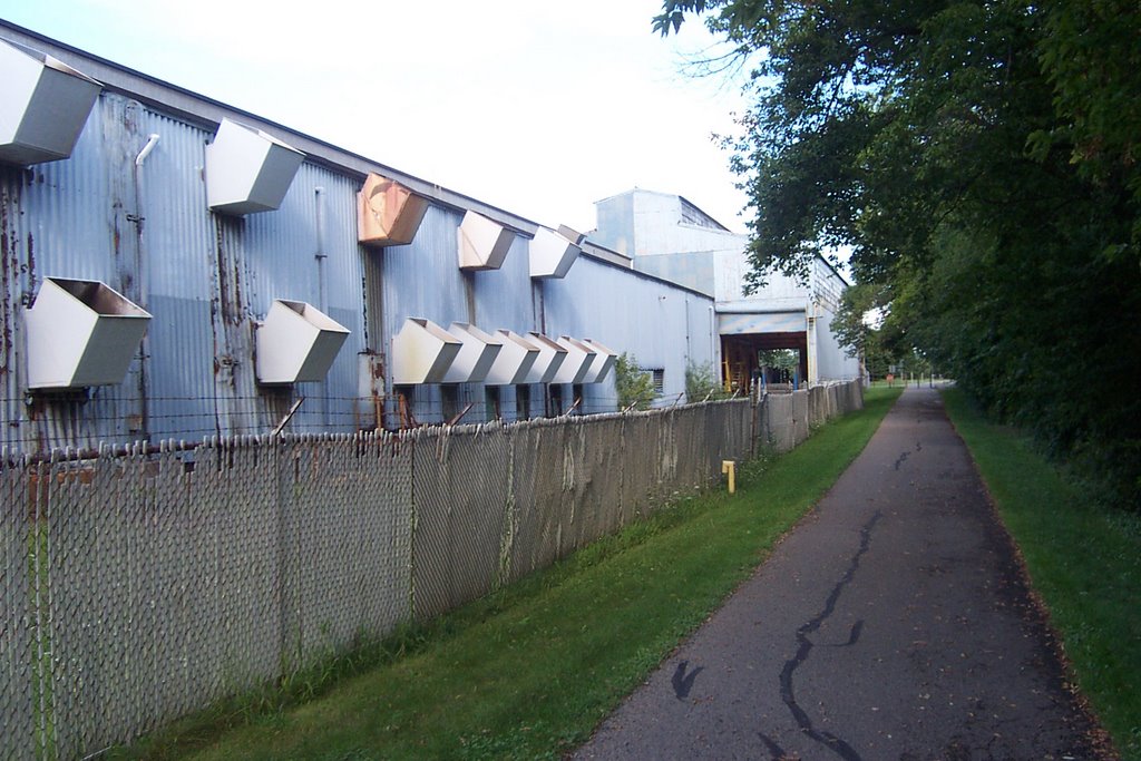 Back of MST