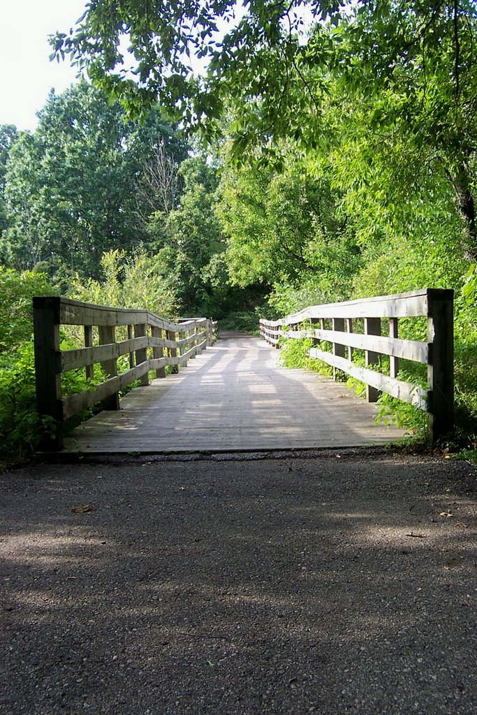 More Boardwalks