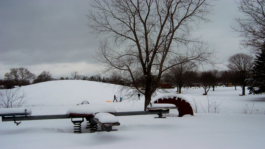Winter in the Park