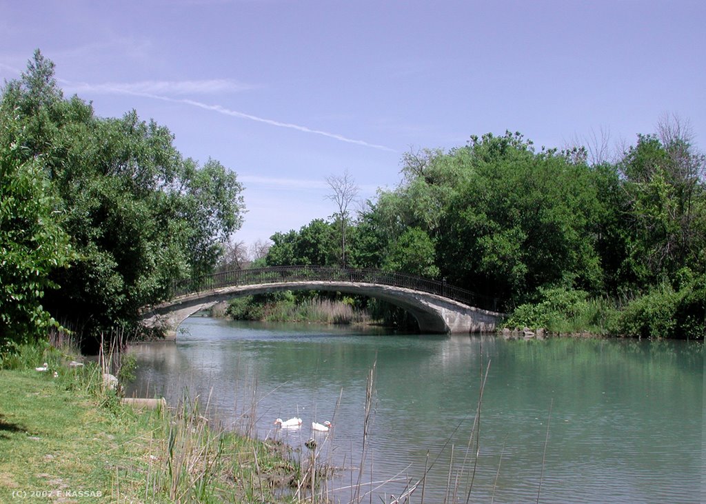 East footbridge, Elizabeth Park, Trenton, Mi