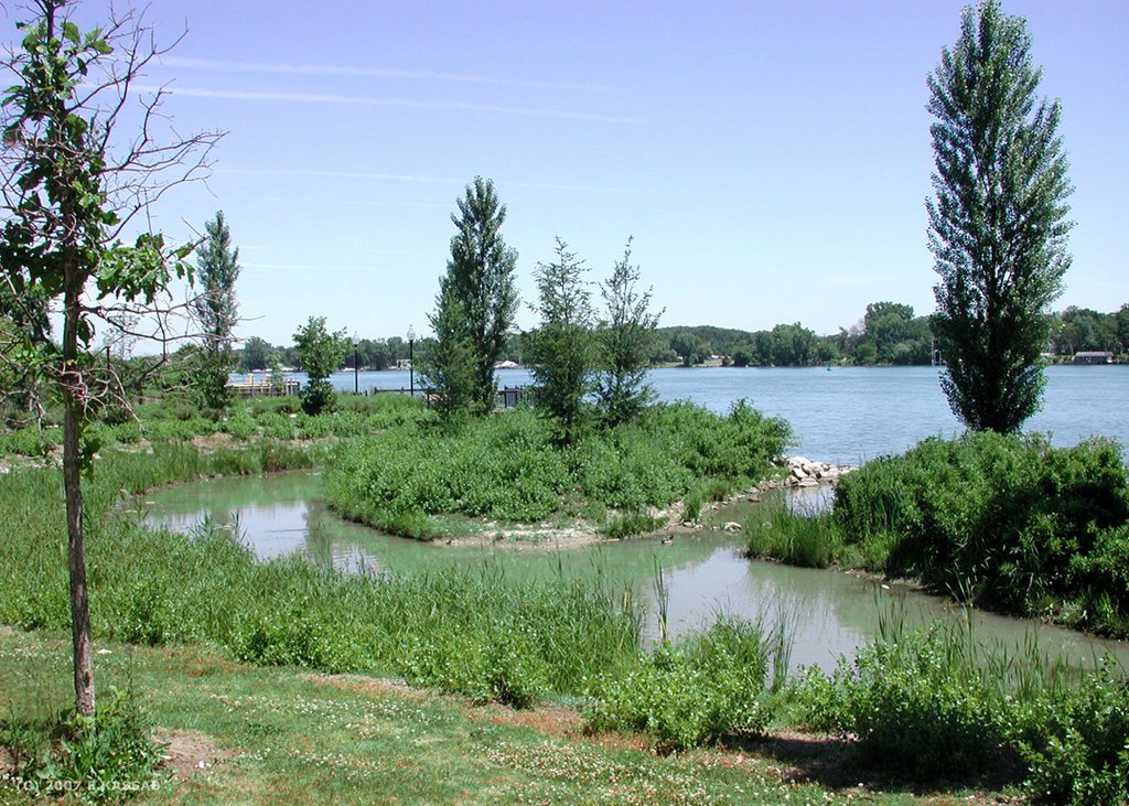 Newly created wetland, Elizabeth Park, Trenton, Mi