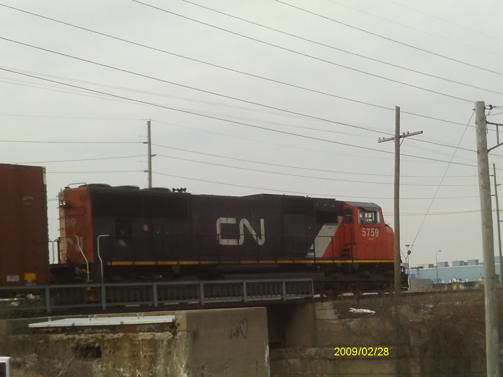 CN in Woodhaven Mi