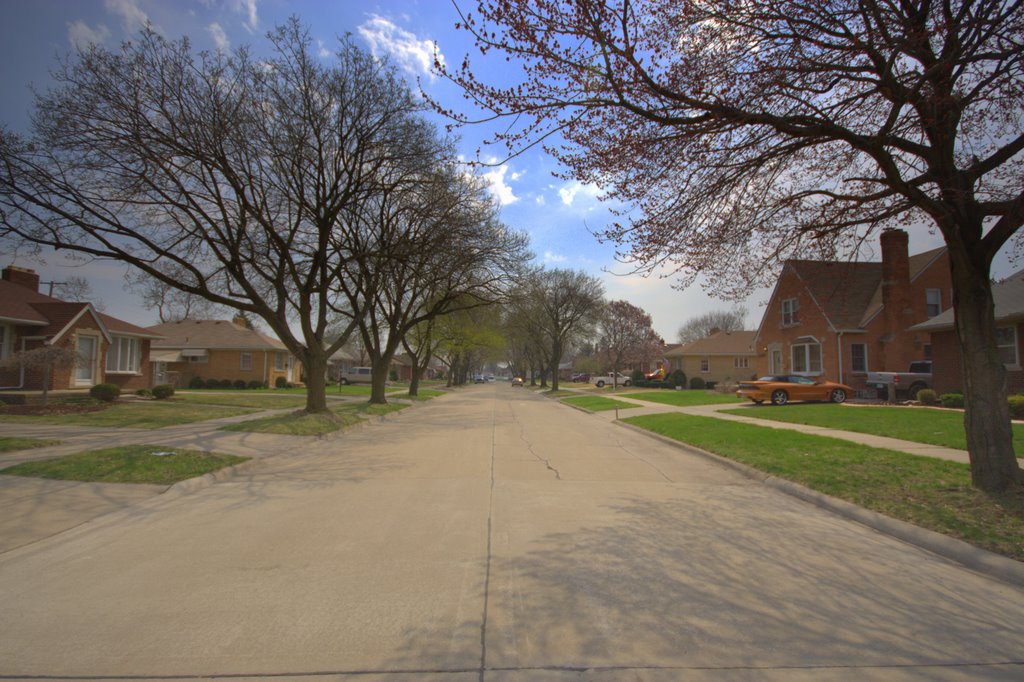 Harrison St., Allen Park, MI
