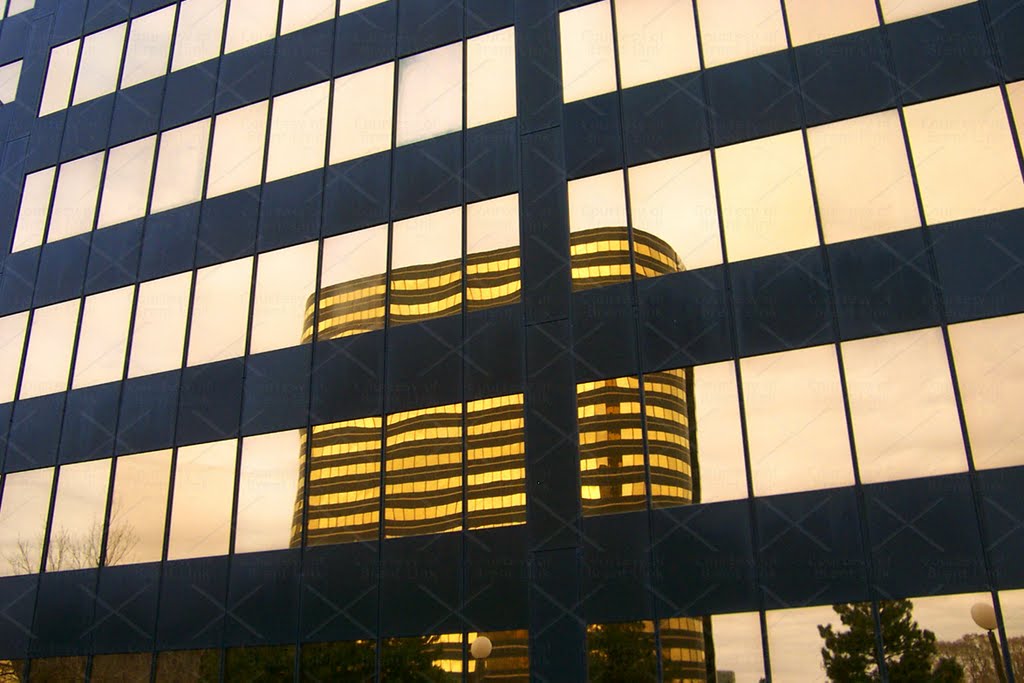 Golden Reflections