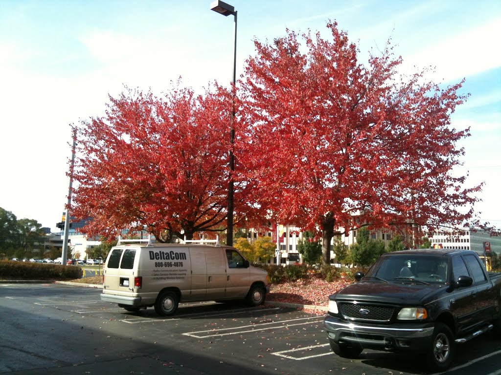 Southfield, United States