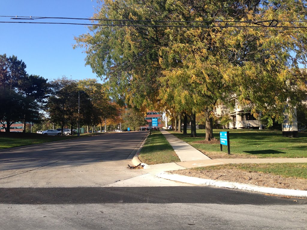 Southfield, United States
