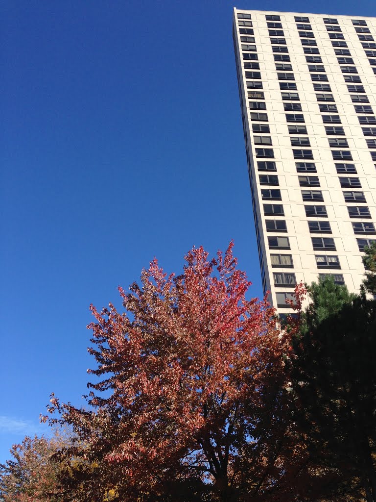 Southfield, United States