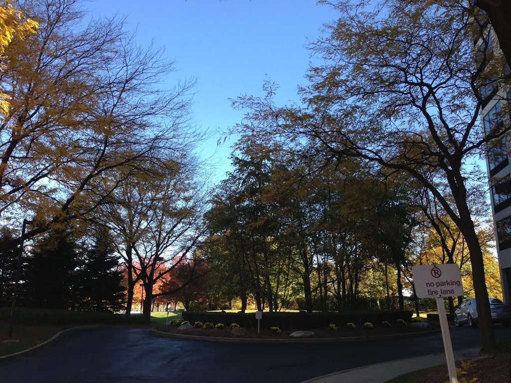 Southfield, United States