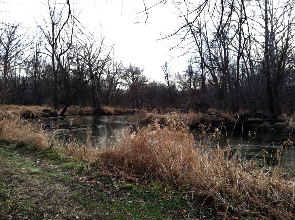 Along the Clinton River - Jan 12, 2013