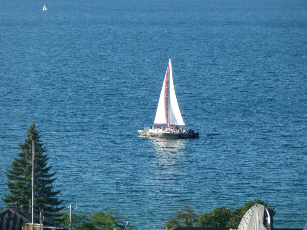 A View of the Bay for Half the Pay