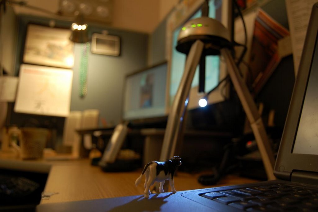 My Office