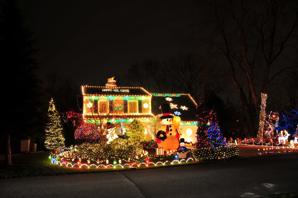 The Best Christmas Decoration in the Neighborhood
