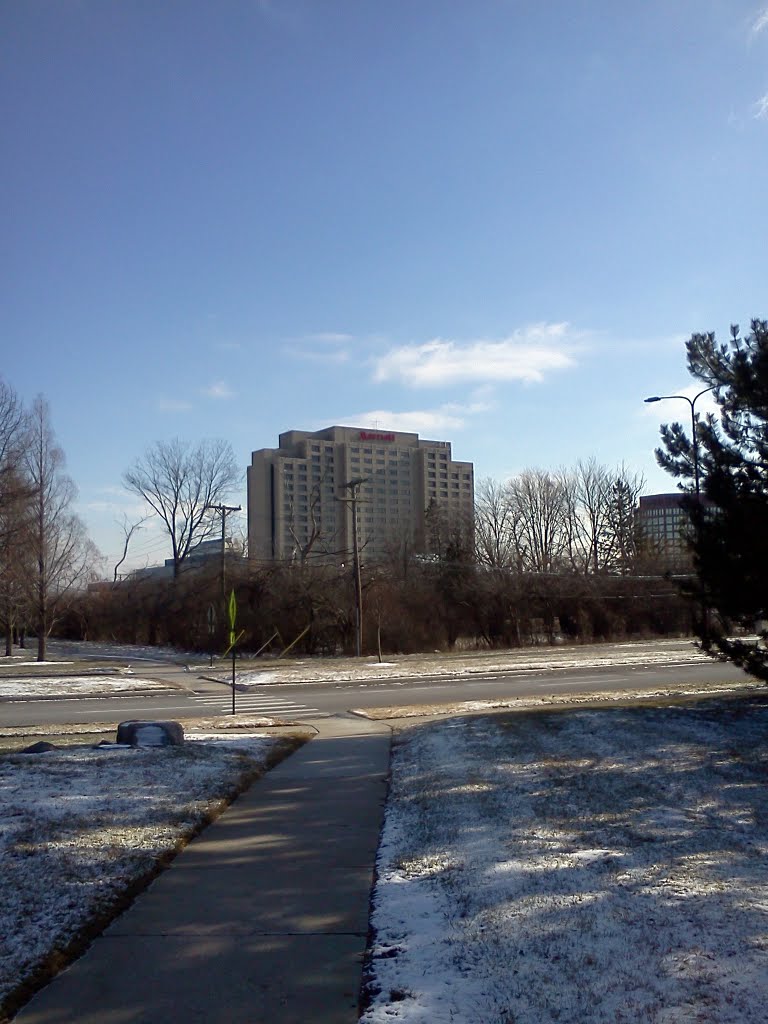 Troy Marriot from the Library