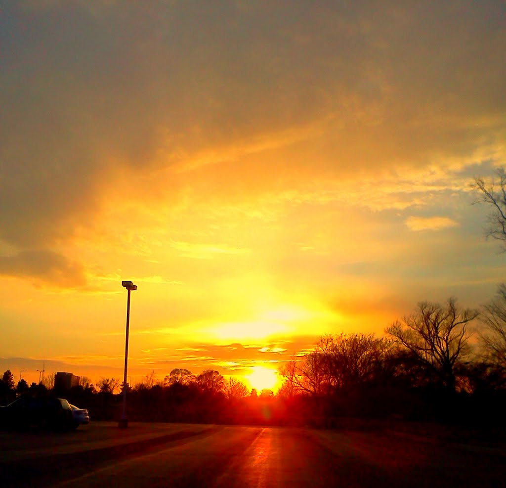 Beautiful Sunset At The Skate Park