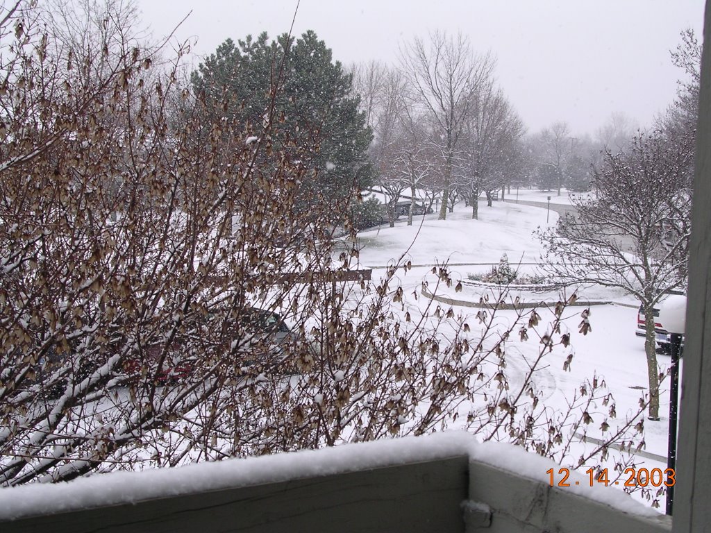 Three Oaks Apartments