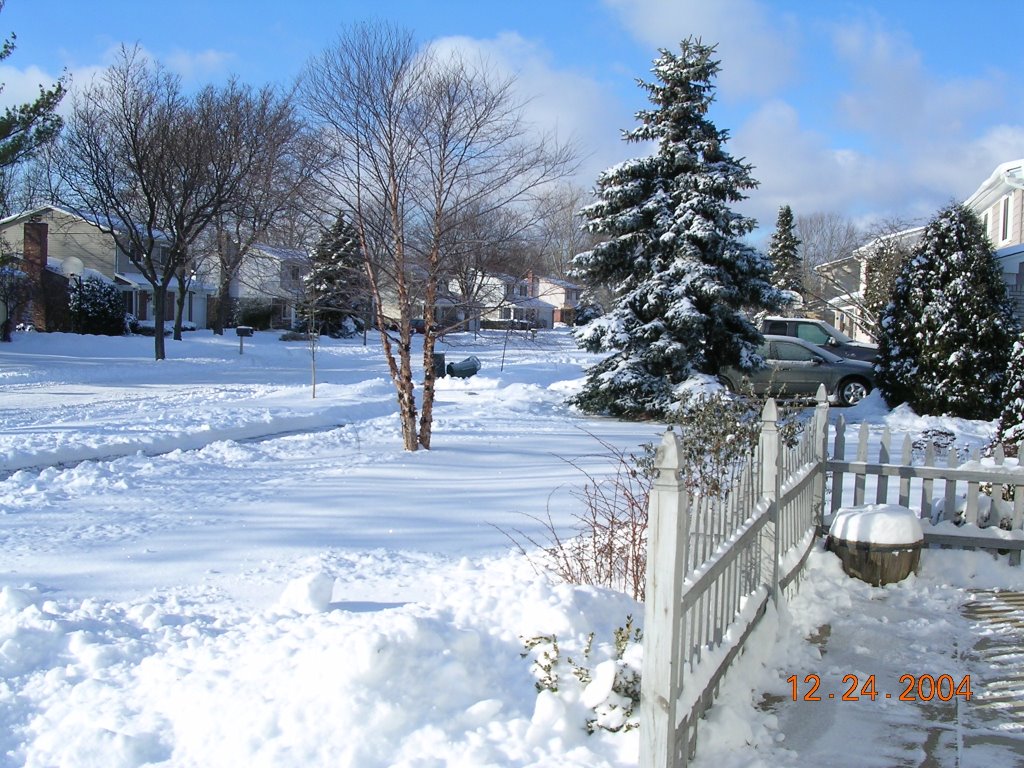 Randall Drive in Troy Michigan