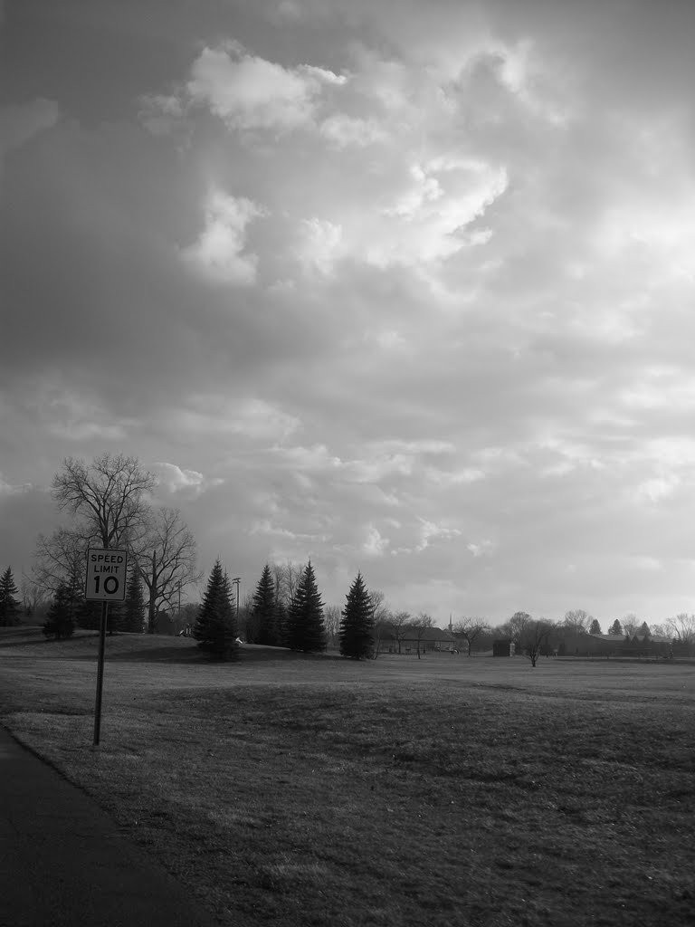 looking across the field