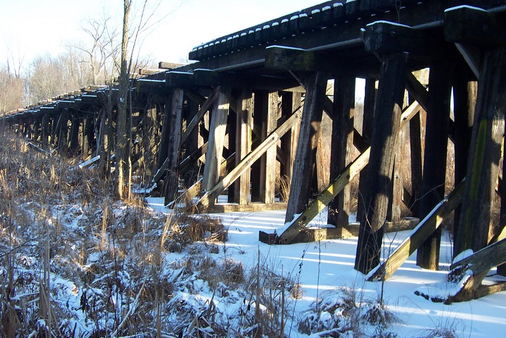 Abandoned Train Truss (winter)