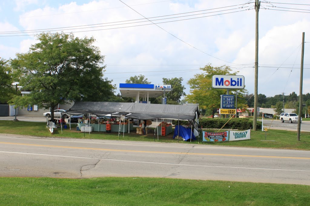 Produce stand, Whitmore Lake Road & 9 Mile Road Mile Road, Brighton, Michigan