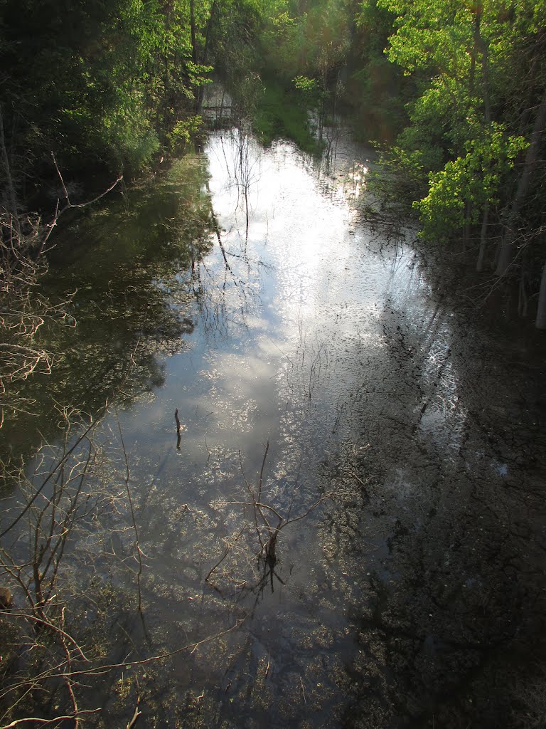 Unnamed pond on Whitmore Lake Rd