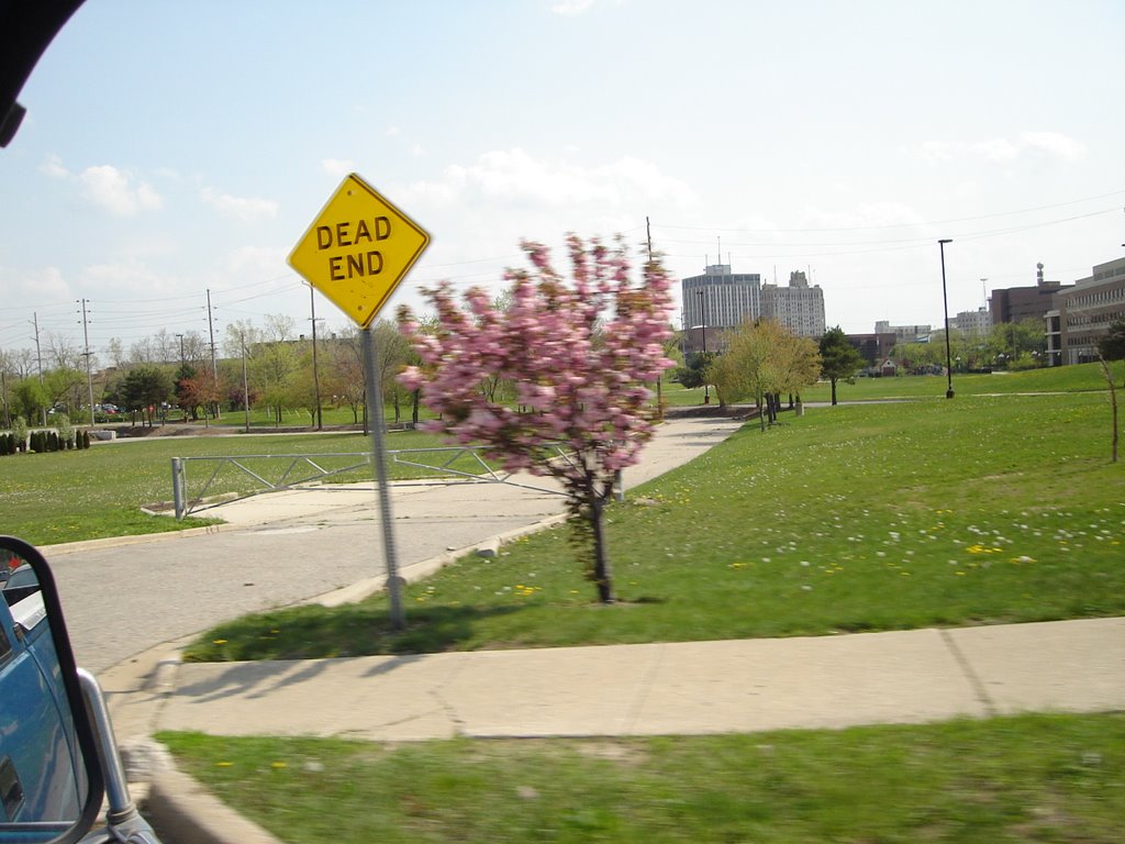 Former Location of Autoworld - Industrial Avenue and East Fifth Avenue