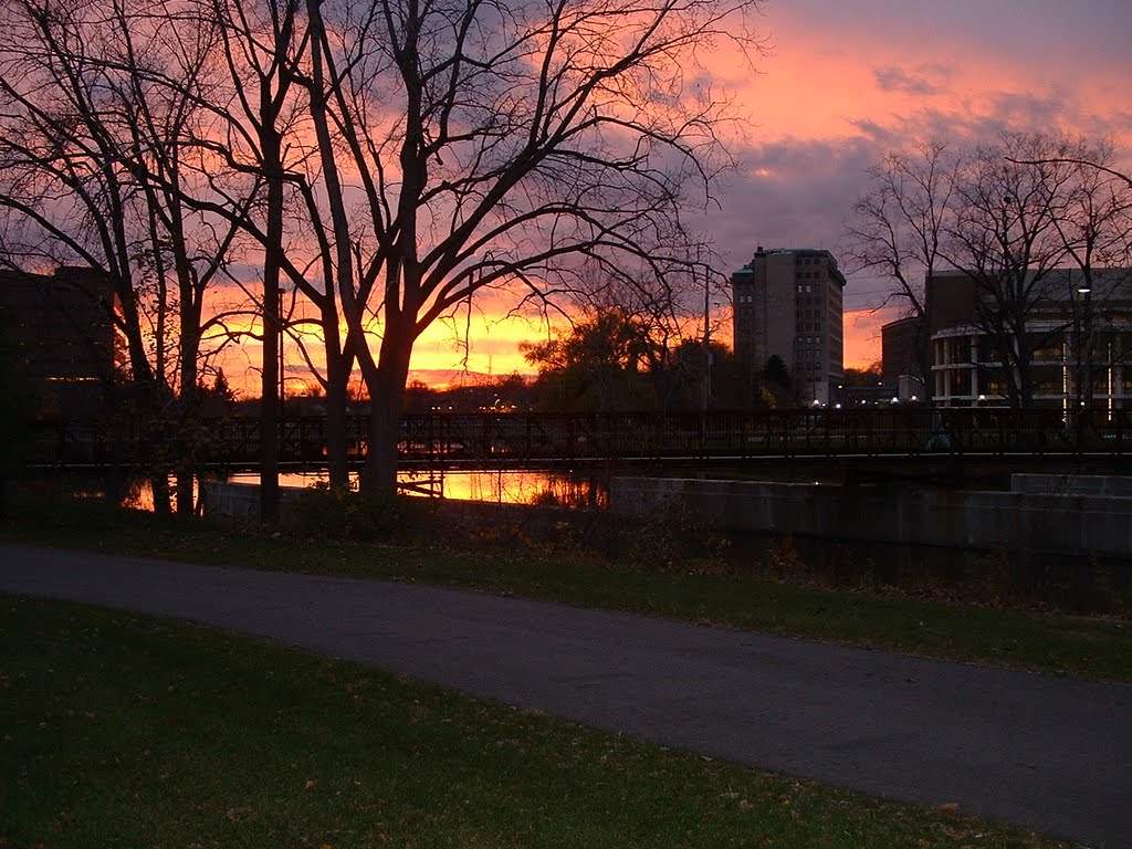 UNIVERSITY OF MICHIGAN, FLINT MICHIGAN CAMPUS 2002