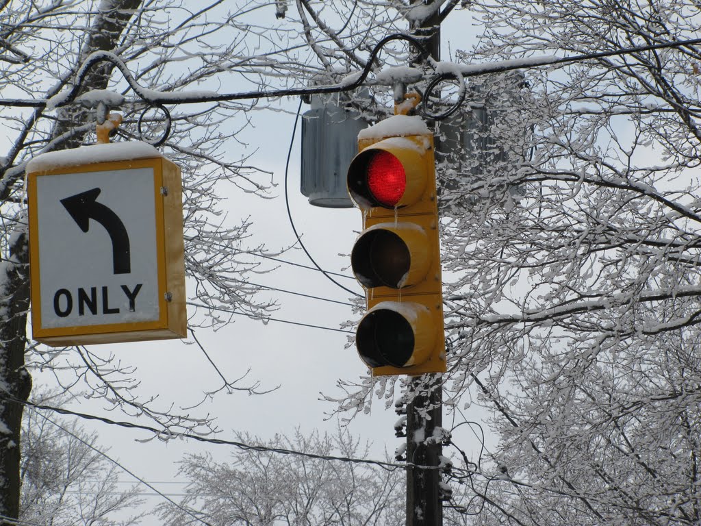 After Snow Storm 2011
