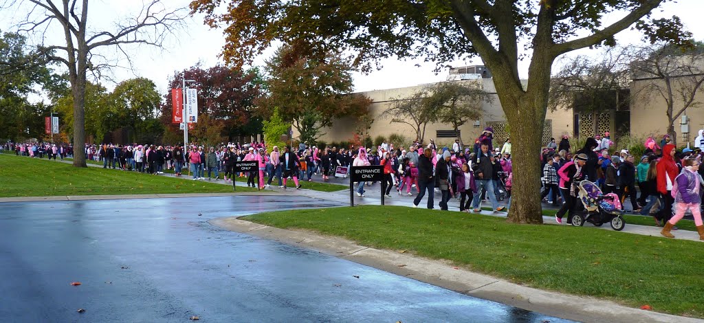Walk for Breast Cancer, Flint Michigan