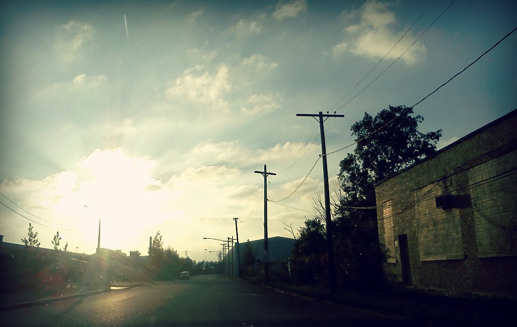 Trails